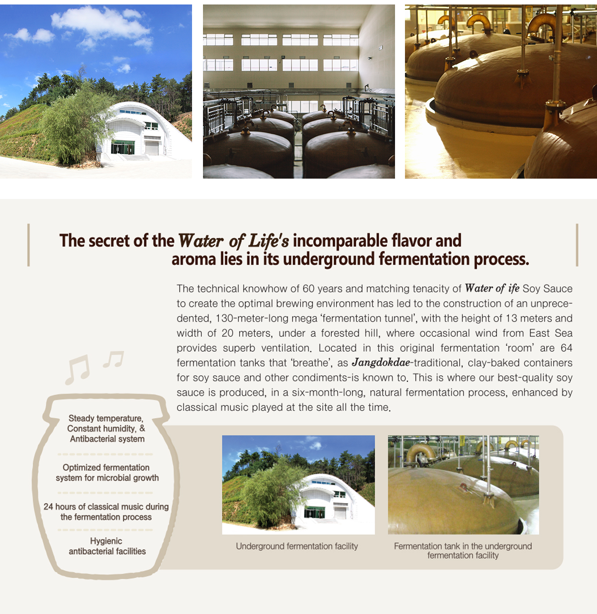 Manufacturing Facilities